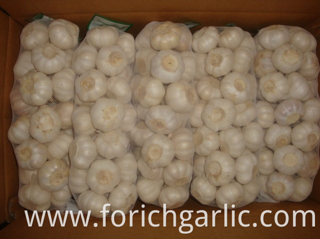  Pure White Garlic